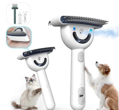 Pet Steam Brush Double-Sided Rechargeable Grooming Massage Brush Two Spray Levels
