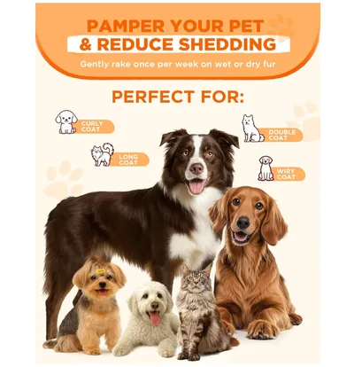 Pet Steam Brush Double-Sided Rechargeable Grooming Massage Brush Two Spray Levels