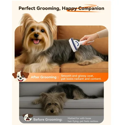 Pet Steam Brush Double-Sided Rechargeable Grooming Massage Brush Two Spray Levels