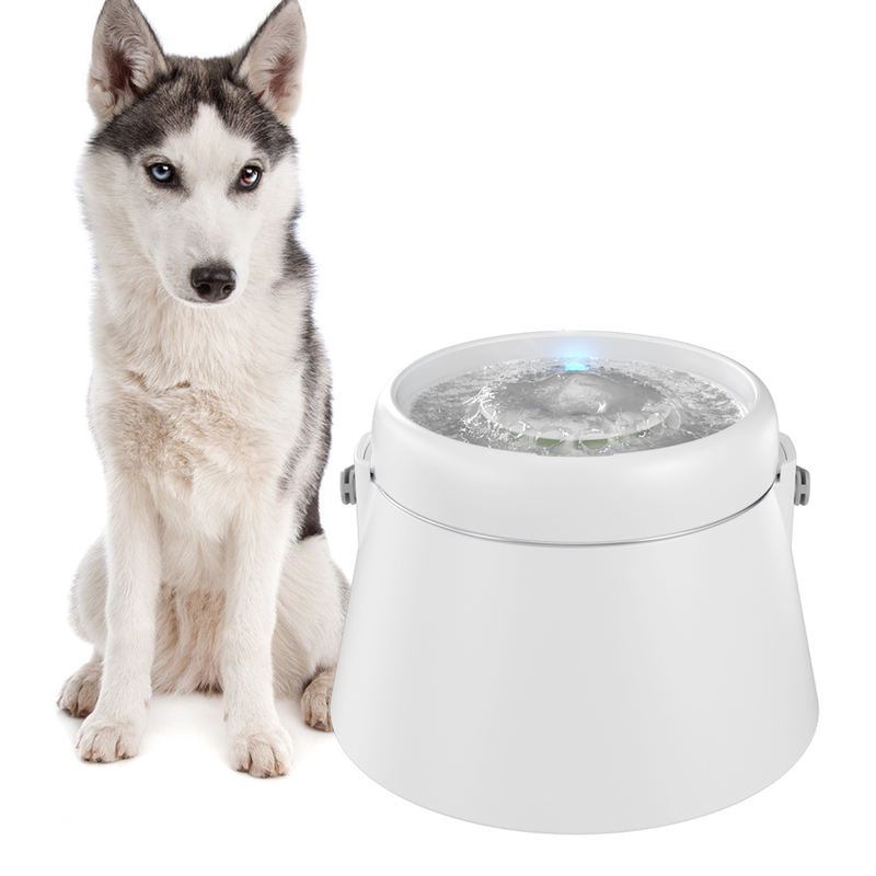Stainless Steel vs Plastic Pet Water Fountains: What the Data Shows