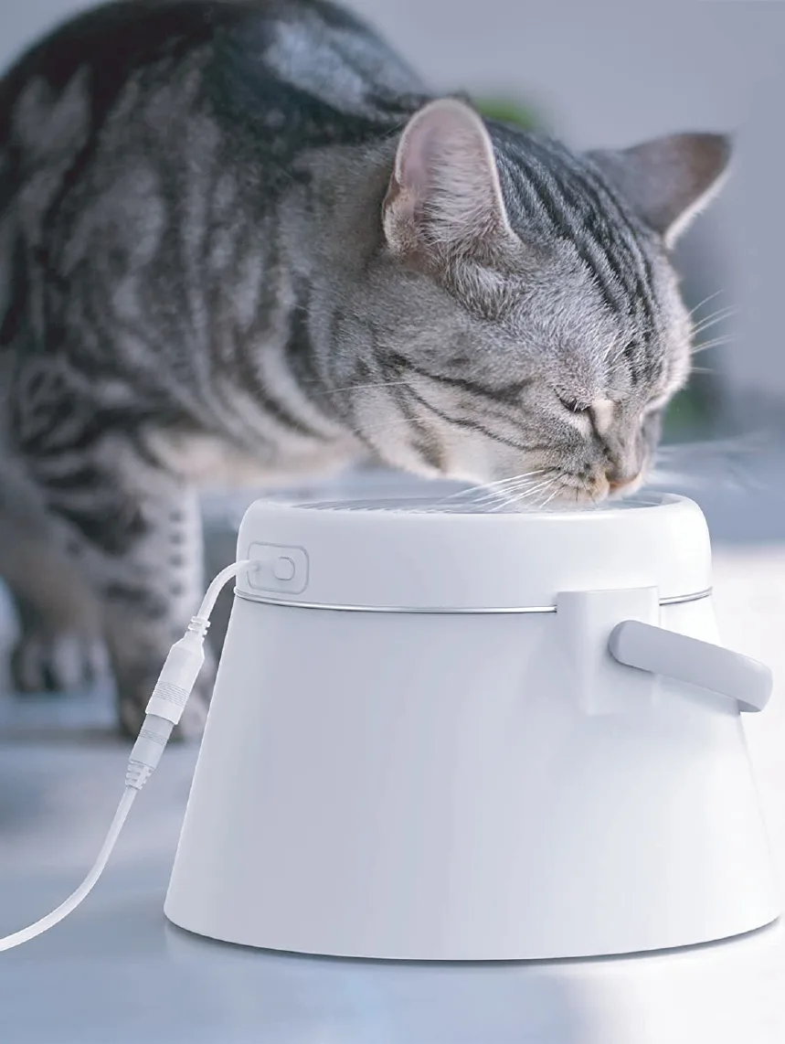 Stainless Steel Cat Water Fountain Automatic Pet Water Dispenser with Bowl
