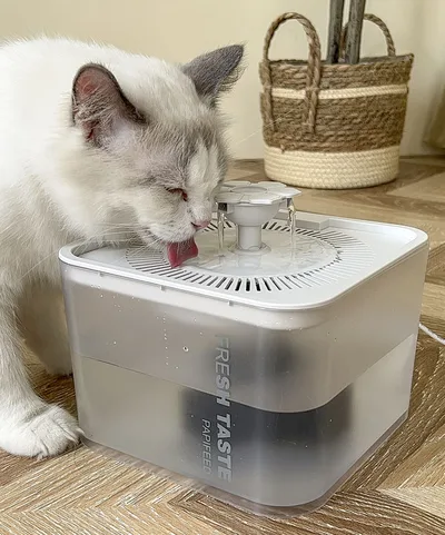 Custom LOGO Smart Automatic Pet Water Fountain 2.5L Intelligent Sensor with Filter