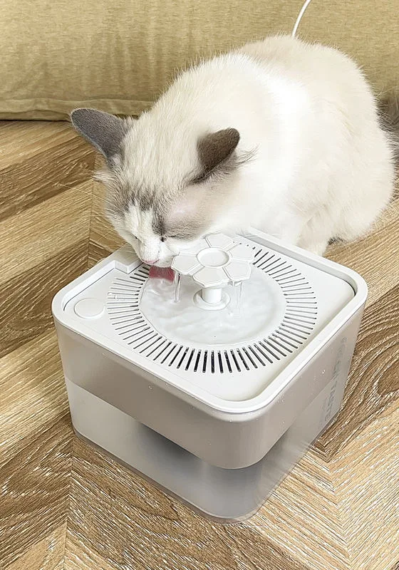 Custom LOGO Smart Automatic Pet Water Fountain 2.5L Intelligent Sensor with Filter