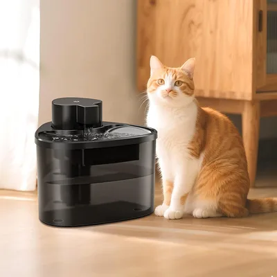 Smart Pet Water Fountain with Filter Eco-Friendly Silent Automatic Dispenser