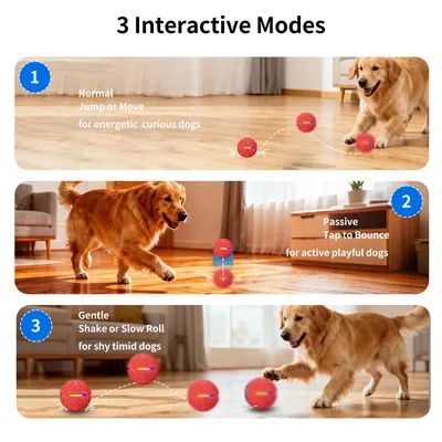 Smart Pet Toy Rolling Ball Motion Activated Rechargeable ETPU with Remote