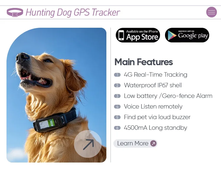 IP67 Waterproof Dog Training Collar 1600ft Range Anti-Barking Rechargeable - detail
