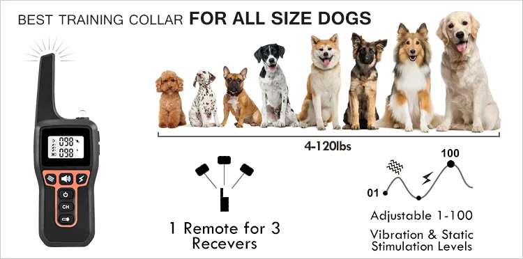 Dog Training Collar Rechargeable Waterproof 1000m Remote Electric Shock - detail