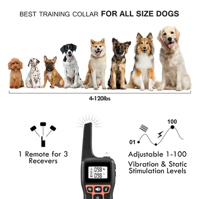 Dog Training Collar Rechargeable Waterproof 1000m Remote Electric Shock